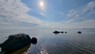 Талабские острова-остров Белов 2024 август