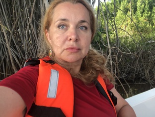 Дневник путешественника