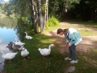 Как я провожу отпуск