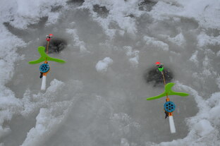 Январь 2026 Выставил снасти на Леща