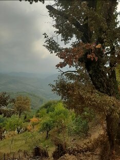 Мои стихи. Избранное.