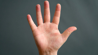 Полный разбор! 