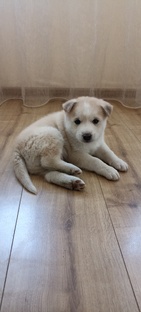 НЕгородские истории