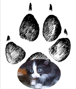 Разная живность.