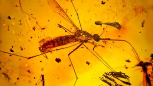 Секреты планеты земля 