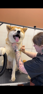 Уход за шерстью