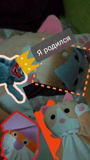ЭВОЛЮЦИЯ КОТА ВАСИЛИЯ.