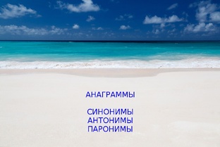 Синонимы. Антонимы. Паронимы