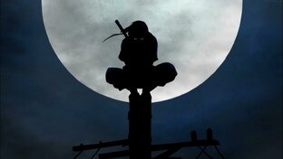 новая