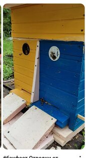 Пчеловодный сезон 2024 год