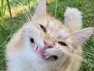 Рассказ.''Сияние солнца''.