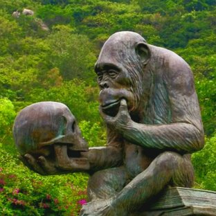 Технология