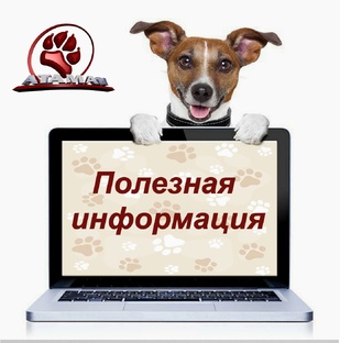 Полезная информация о собаках