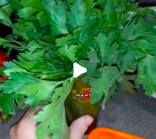 Лайфхаки для дома