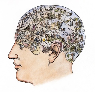 Факты про психологию