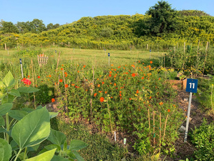 Мои истории 