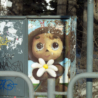 Фотоработы