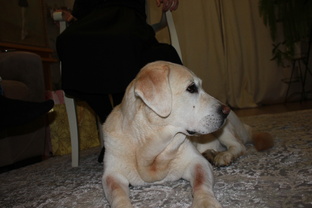 Жаркое лето 