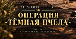 Операция тёмная пчела