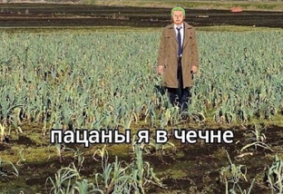 интервью у дармена