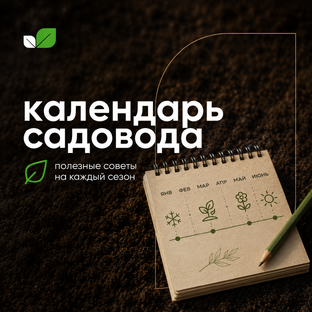КАЛЕНДАРЬ САДОВОДА