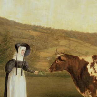 Анималистика 