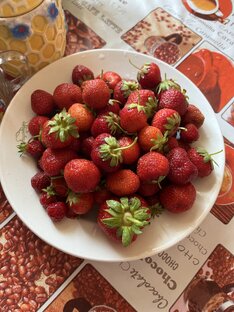 Здоровье❗️