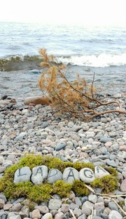 Ладожское преОбражение 2024 г.