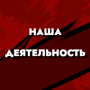Наша деятельность