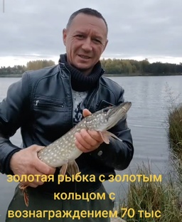 Золотая рыбка с золотым кольцом