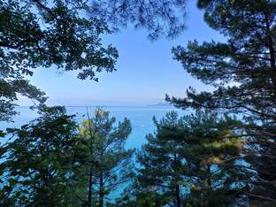 Саморазвитие и успех