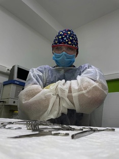 Ветеринария