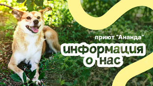 Информация о нас