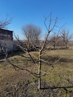 Садовый сезон 2025