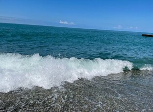 Отдых у берегов Японского моря