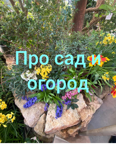 Про сад и огород