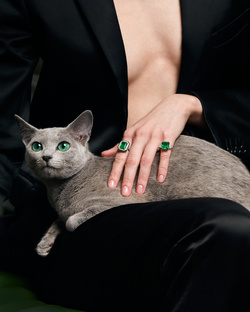 Изумрудные сны