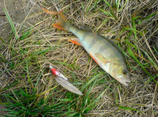 Почему у соседа клюёт, а у меня нет