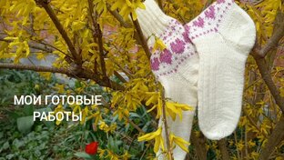 Носочки с Таней 2024
