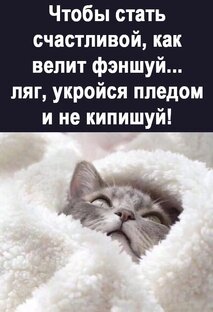 Размышления о разном) 