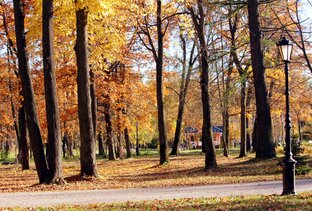 "На прогулку в Соляной сад"