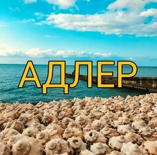 АДЛЕР