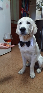 Отрочество