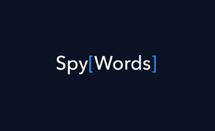 Обзор инструментов SpyWords