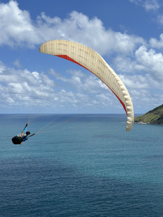 Красивые виды