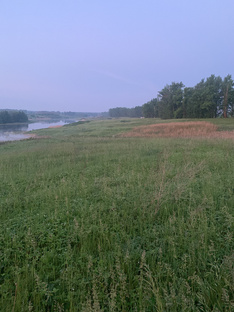 Умные советы