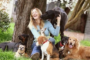 Истории о животных, которые заставляют задуматься 