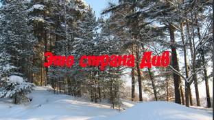 Всё видео канала