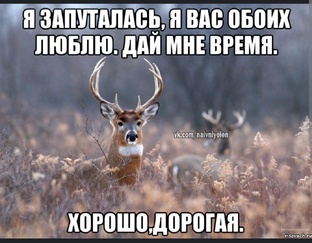 ревность и последствия