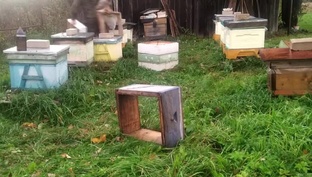 Пчеловодство 2023